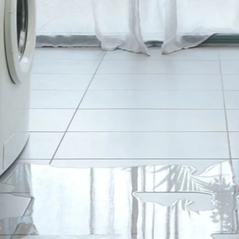 Appliance Leak Cleanup in Bernalillo, NM